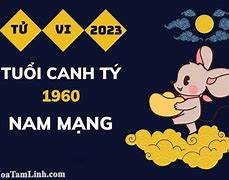 1960 Năm 2023 Bao Nhiêu Tuổi