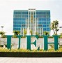 Data Analyst Học Ở Đâu