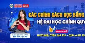 Học Bổng Sinh Viên Sen Hồng 2024 Pdf Download Free