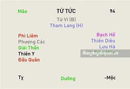 Thái Dương Cư Tử Tức Tại Hợi Có Hợp Nhau Không Ạ