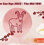 Tử Vi Tân Mùi Nữ Mạng 1991 Năm 2023