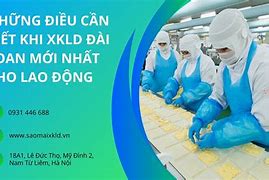 Xklđ Đài Loan Đơn Hàng Cơm Hộp Là Gì Của Mỹ